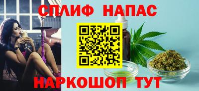 ешки Славгород
